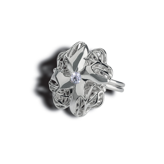 Anello Segui il tuo cuore